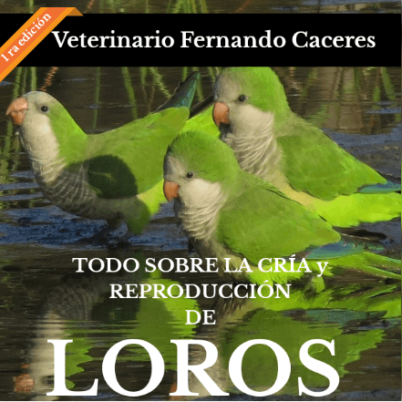la mejor guia para loros